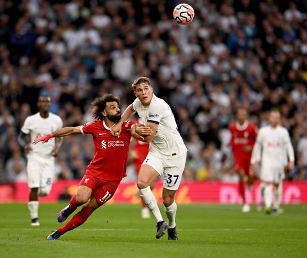 表现将继续 表现将继续