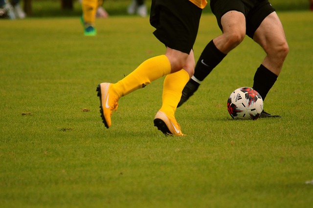 多里的关注 多里的关注